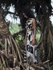 Alba Dress